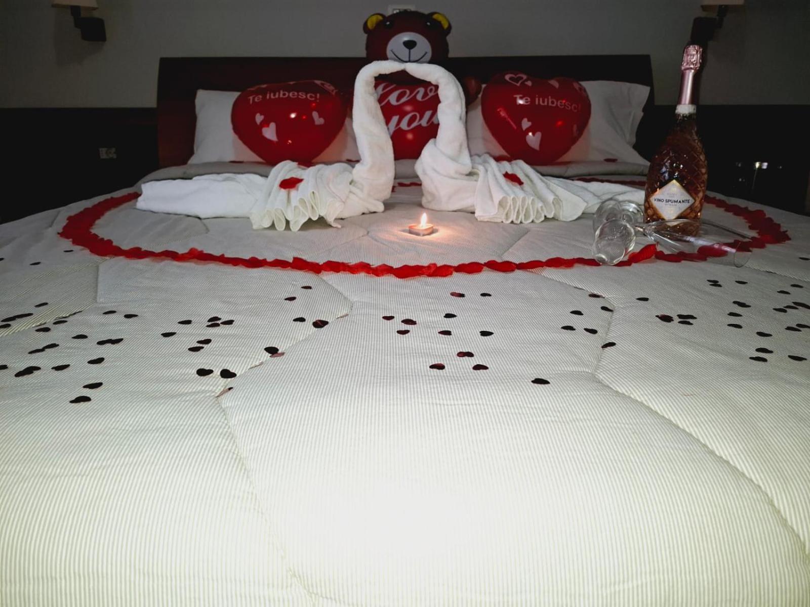 טימישוארה Hotel Vila Veneto מראה חיצוני תמונה